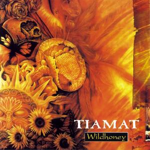 Tiamat – Whatever that hurts