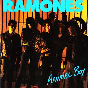 Ramones – Somebody put something in my Drink