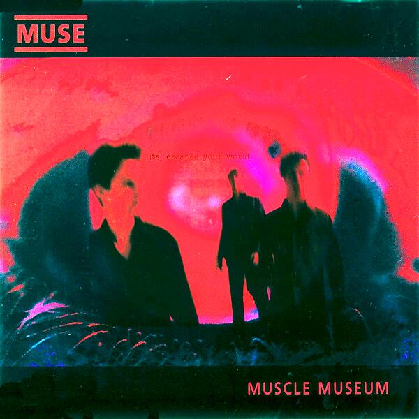 Muscle museum