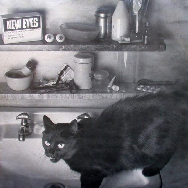 Black Cats Eyes