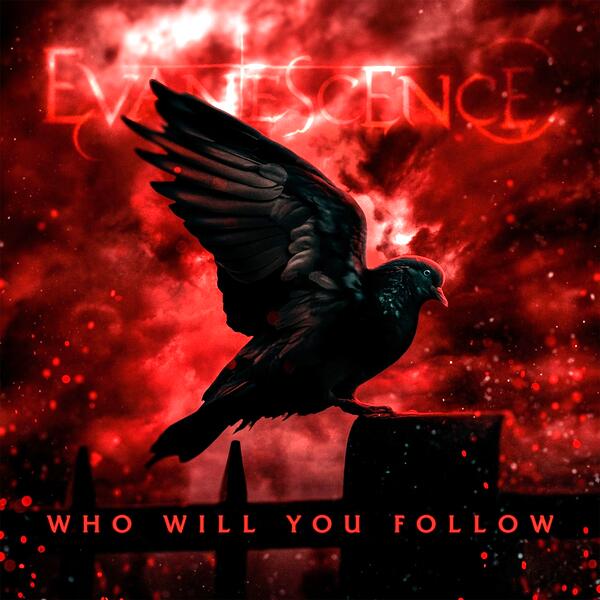 Who Will You Follow