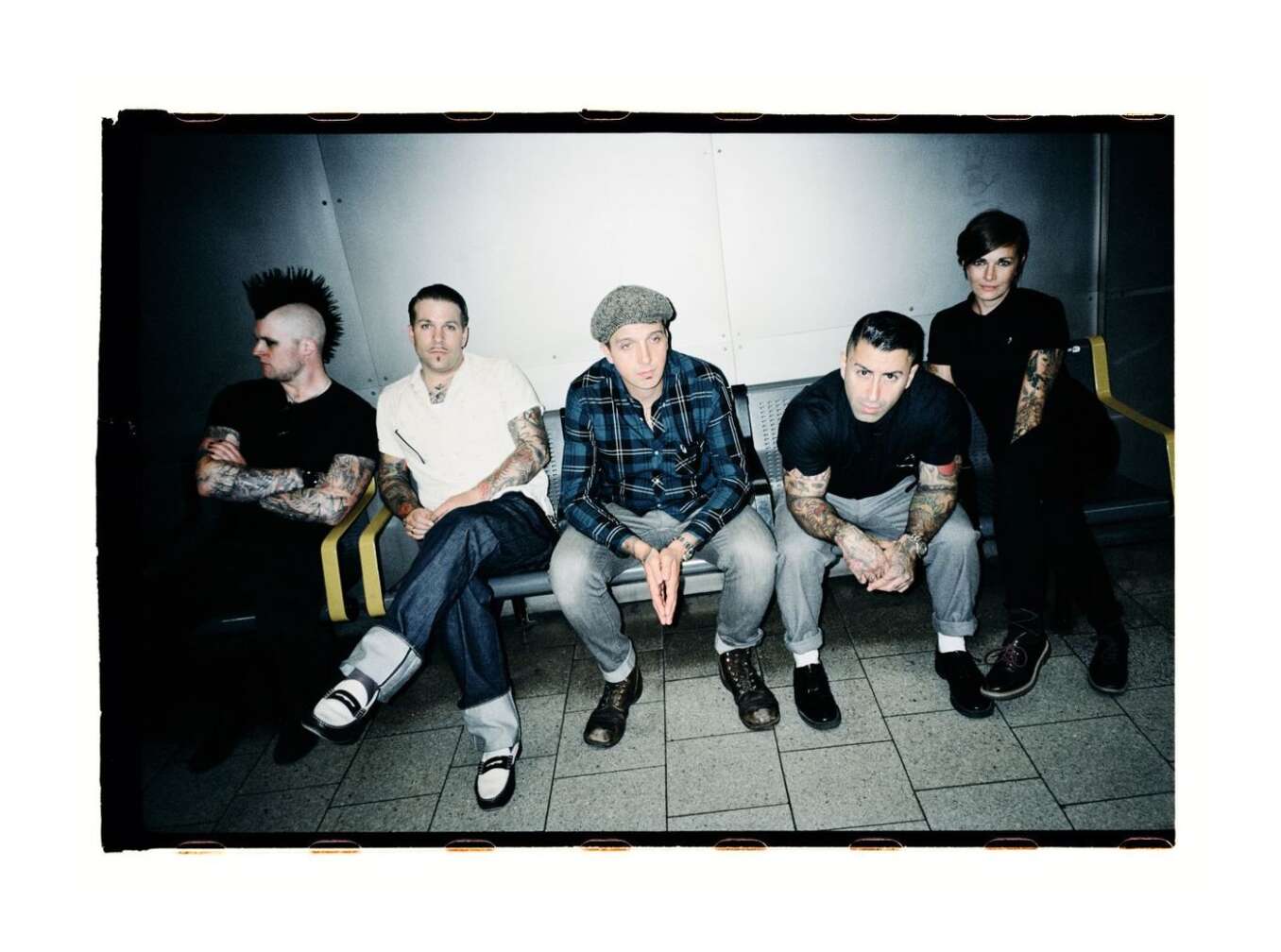Broilers