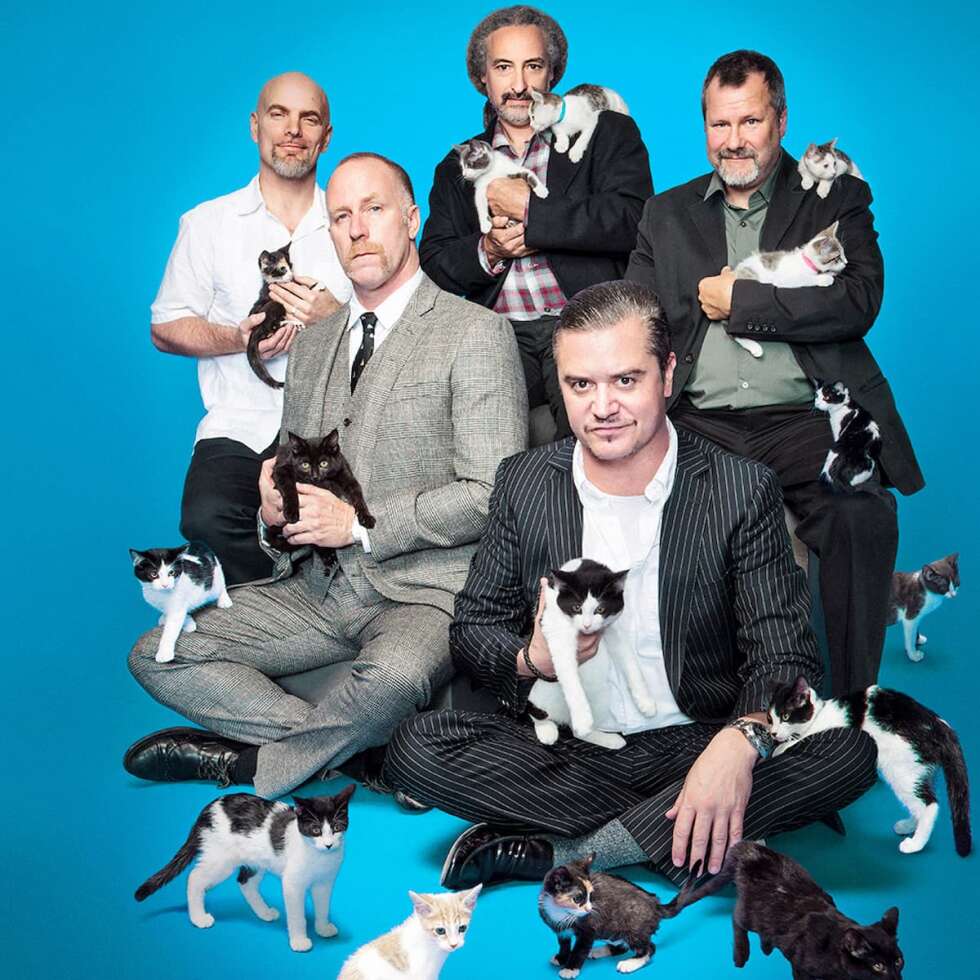 Faith No More mit Katzen