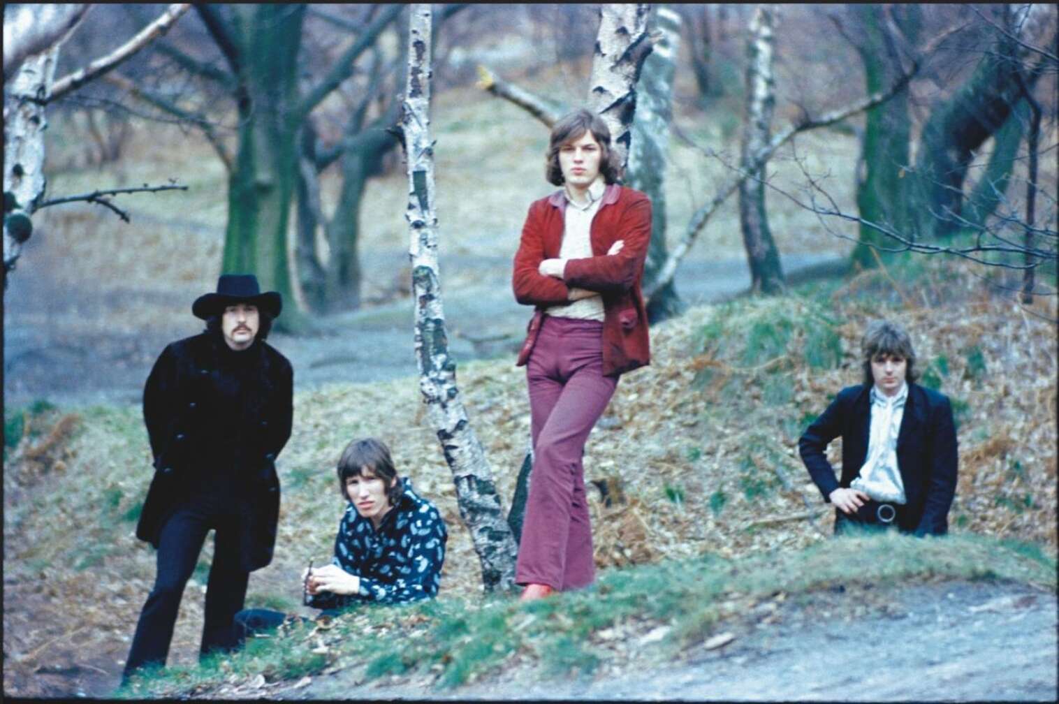 Pink Floyd posieren in einem Wald