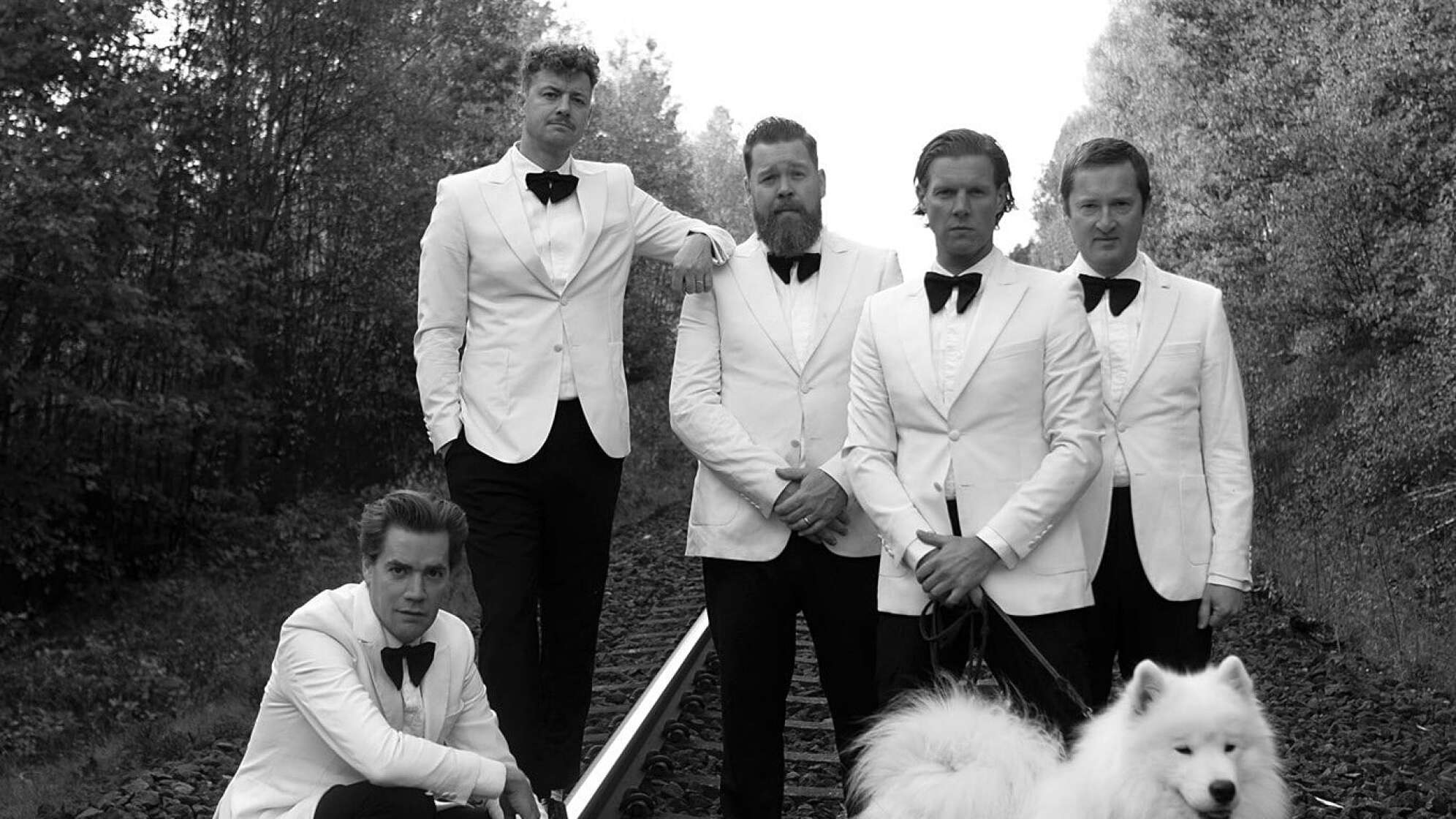 The Hives posieren in weißen Anzügen mit weißem Hund im Gleisbett
