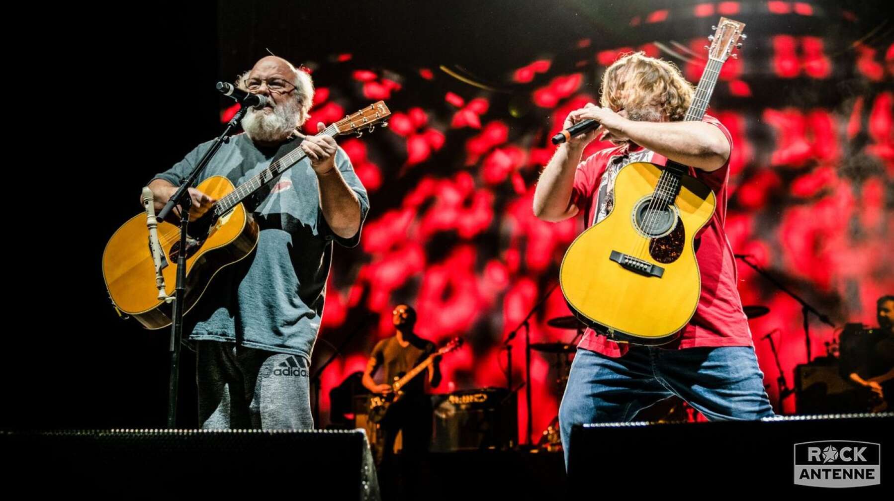 Tenacious D live 2020