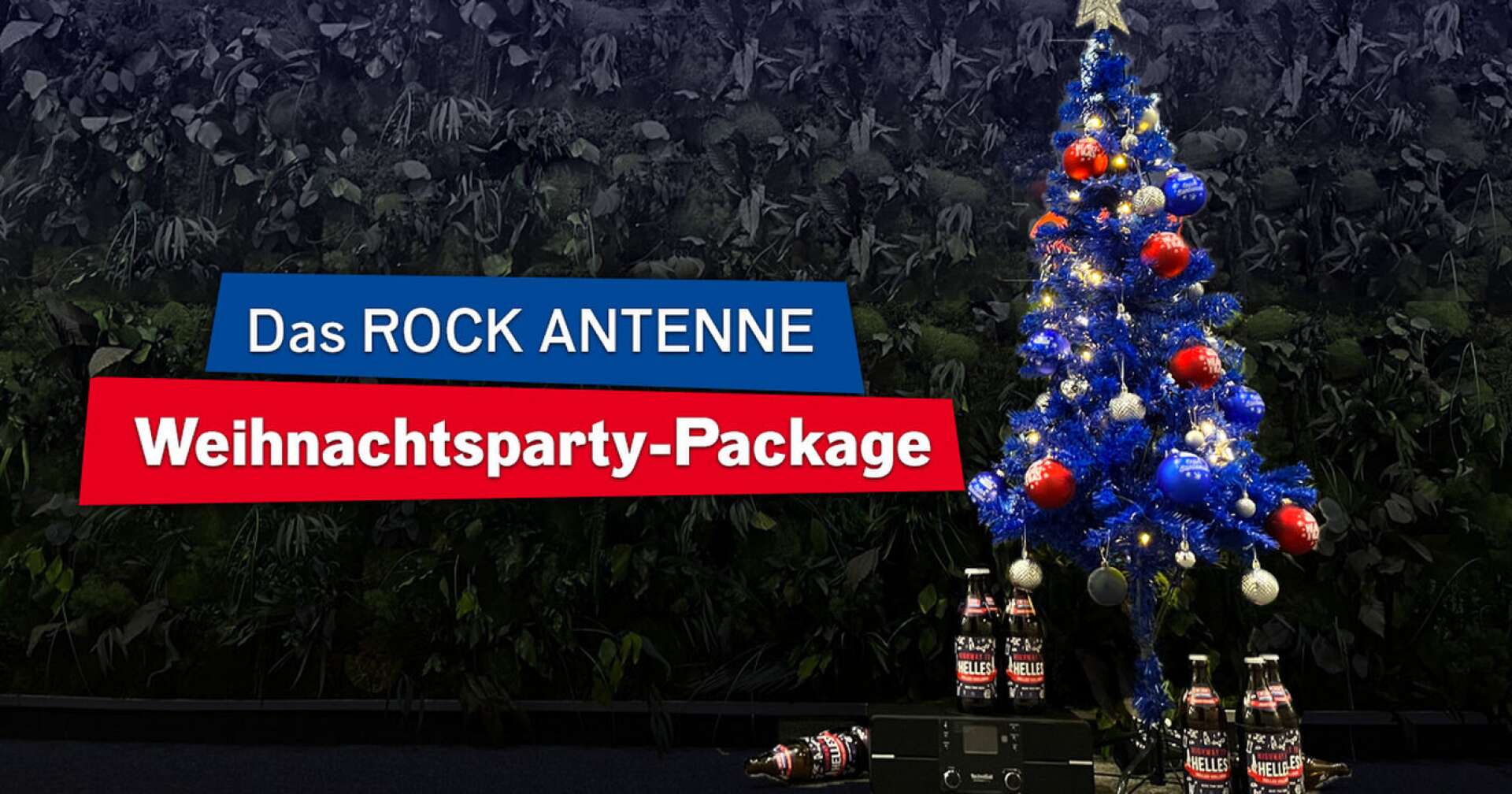 Rock Antenne WEihnachtsparty-package