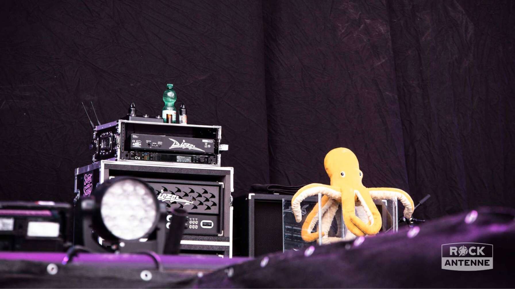 Myles Kennedy bei Rock im Park 2025