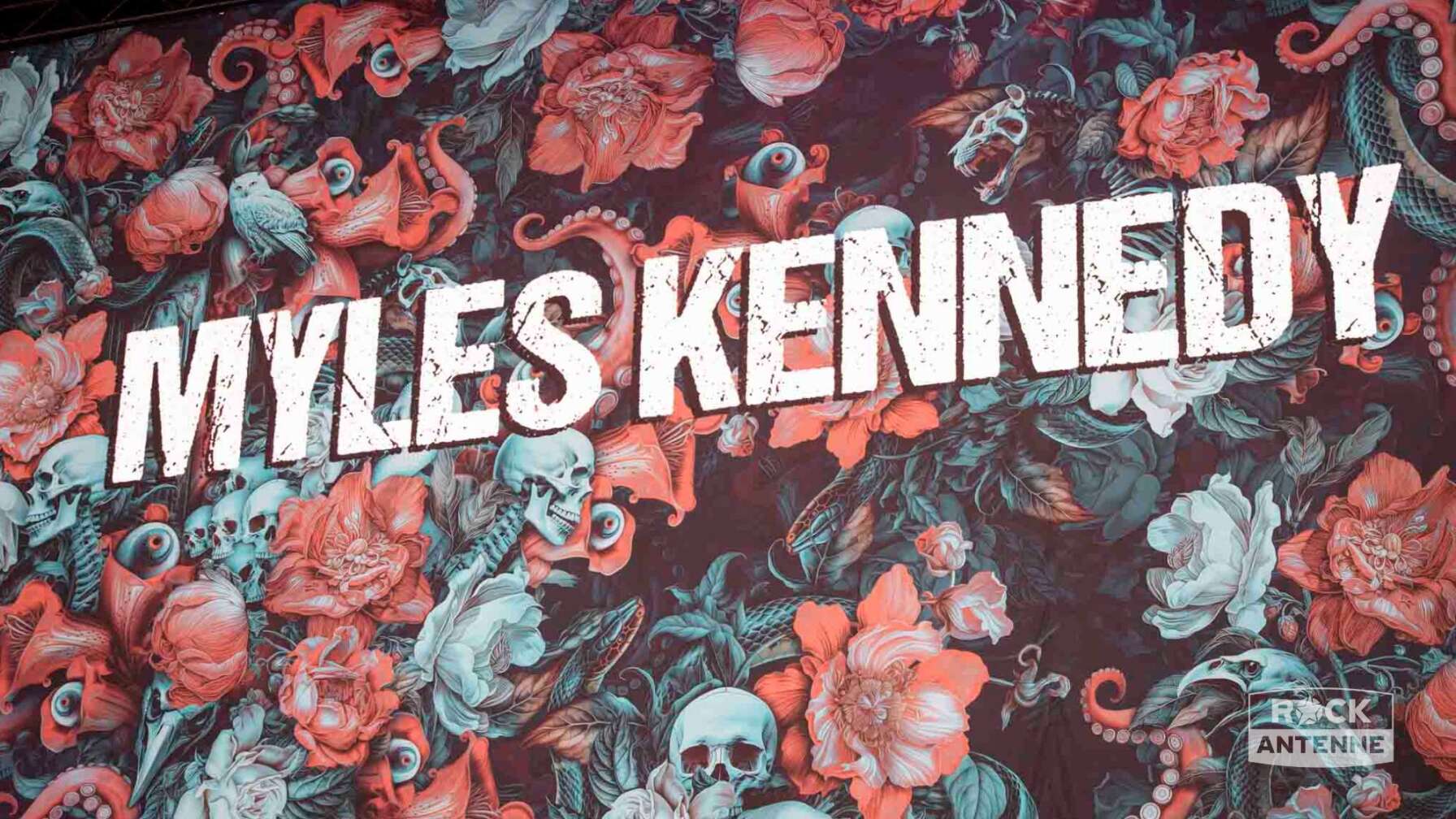 Myles Kennedy bei Rock im Park 2025