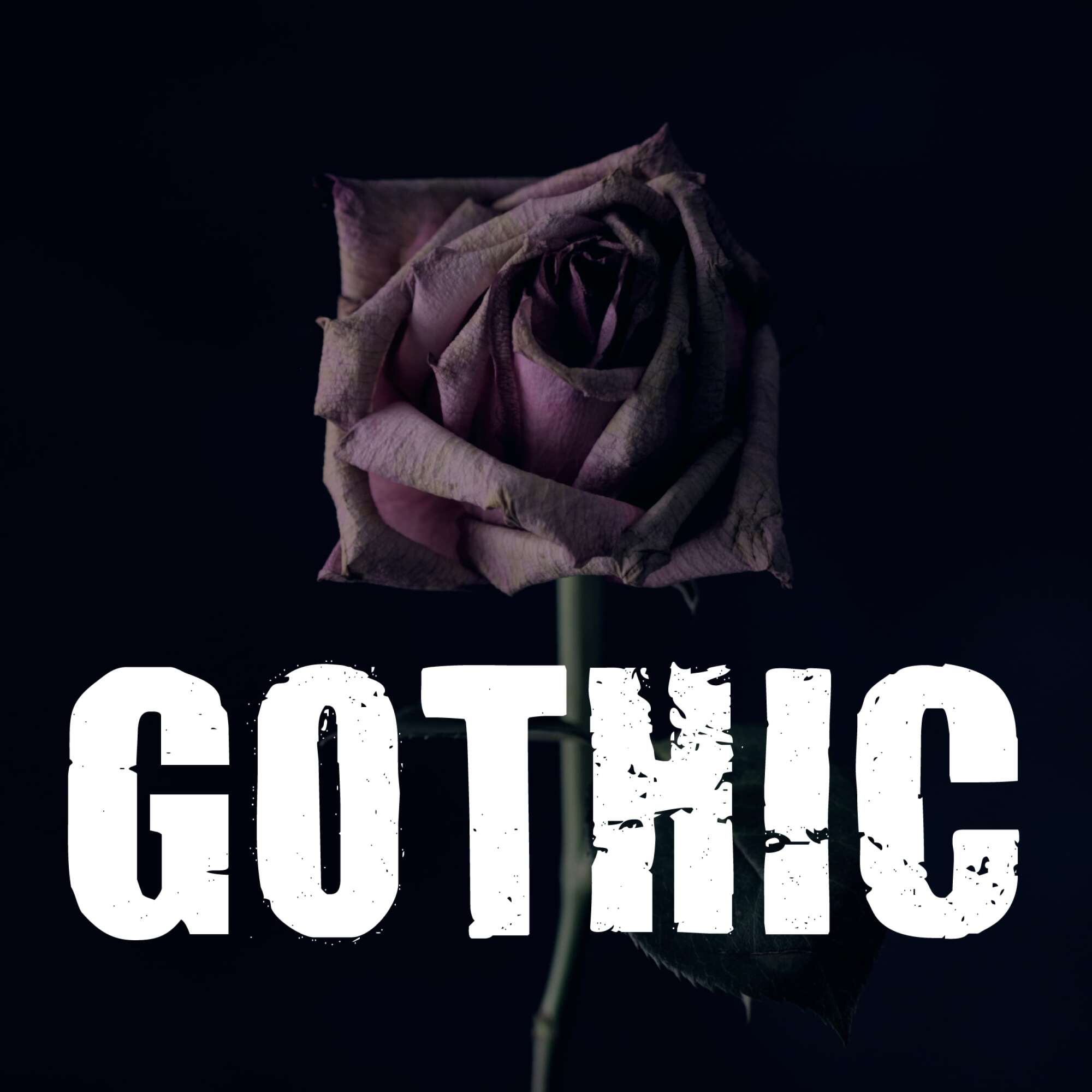 Stream-Cover Gothic