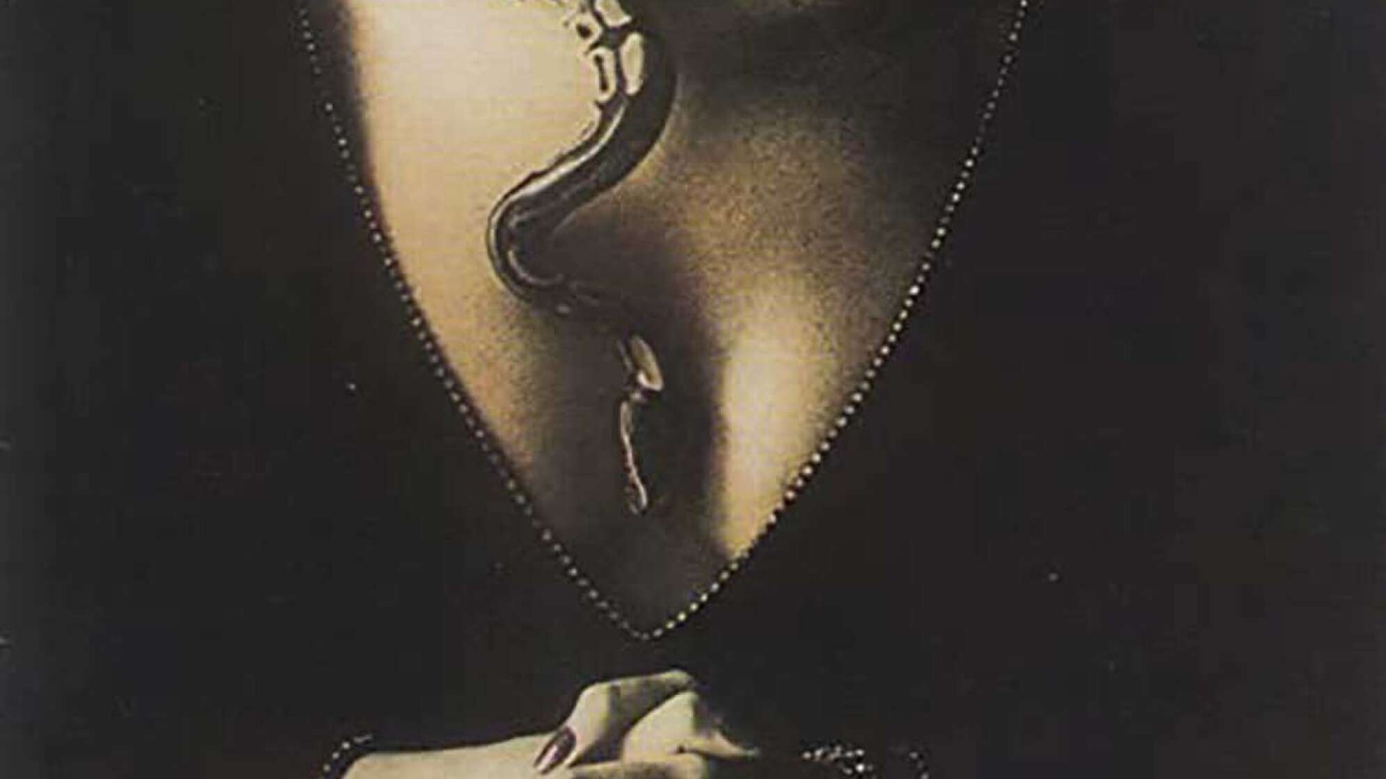 Whitesnake-Albumcover