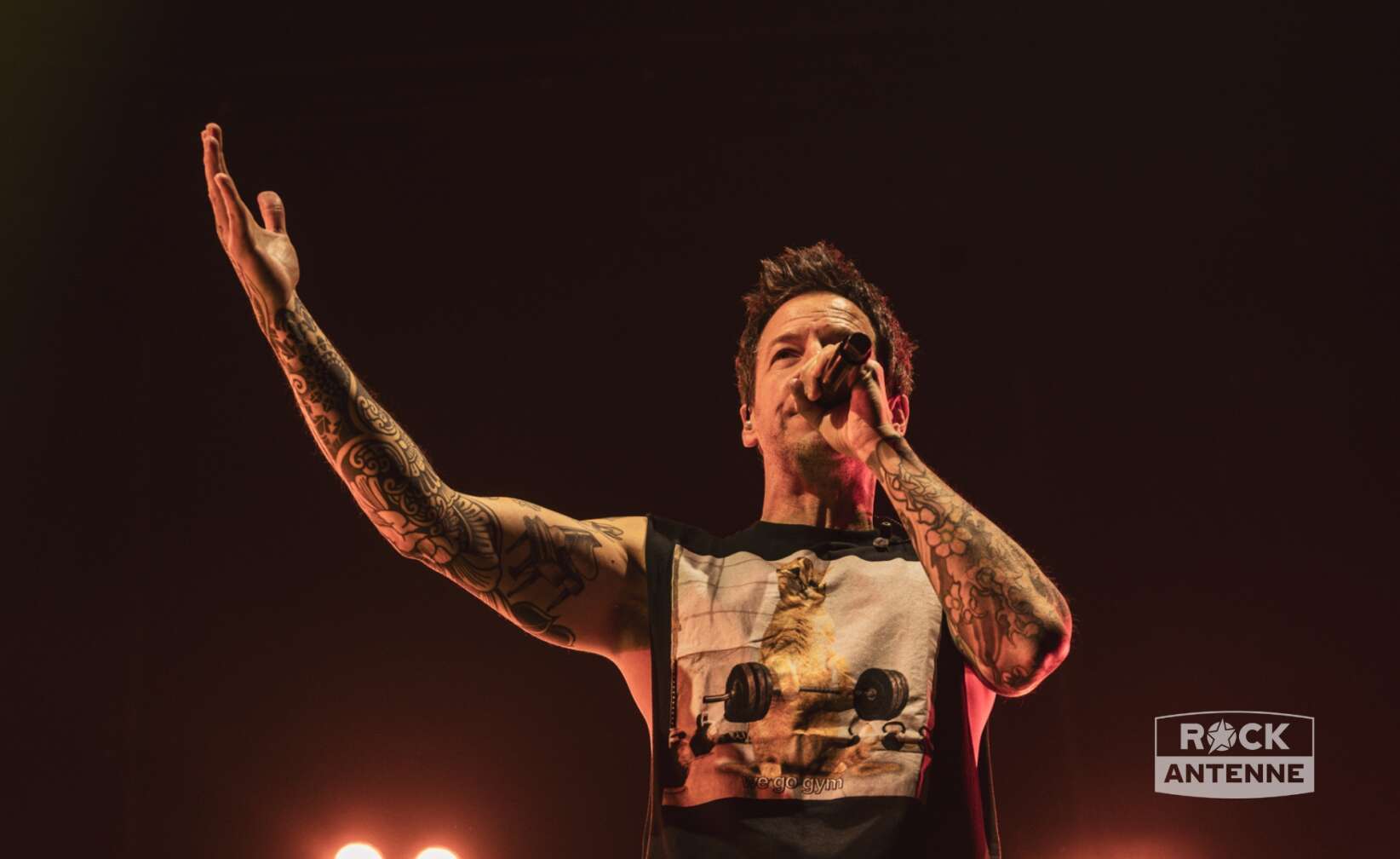 Konzertfotos von Simple Plan