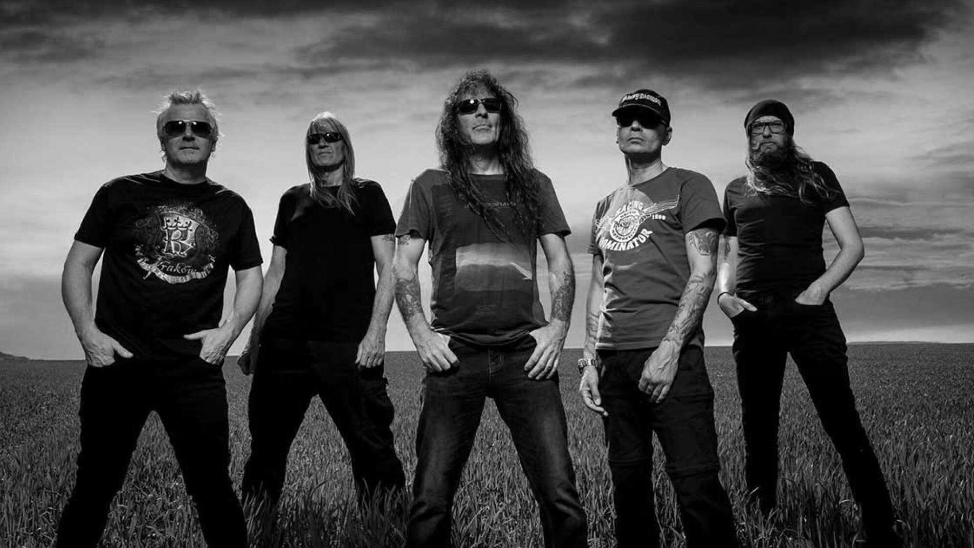 Bandfoto von British Lion