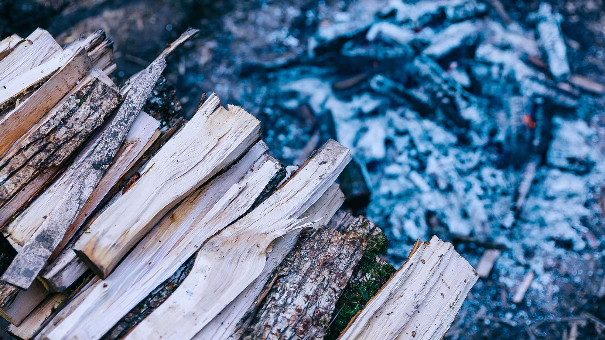 Trockenes Holz.
