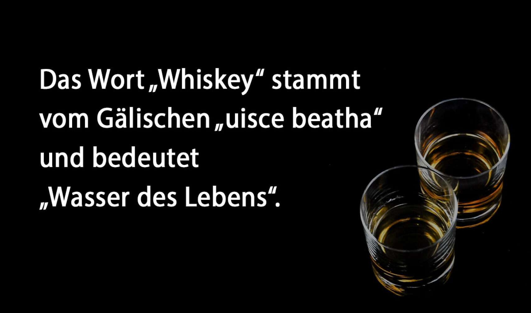 Das Wort „Whiskey“ stammt vom Gälischen „uisce beatha“ und bedeutet „Wasser des Lebens“.