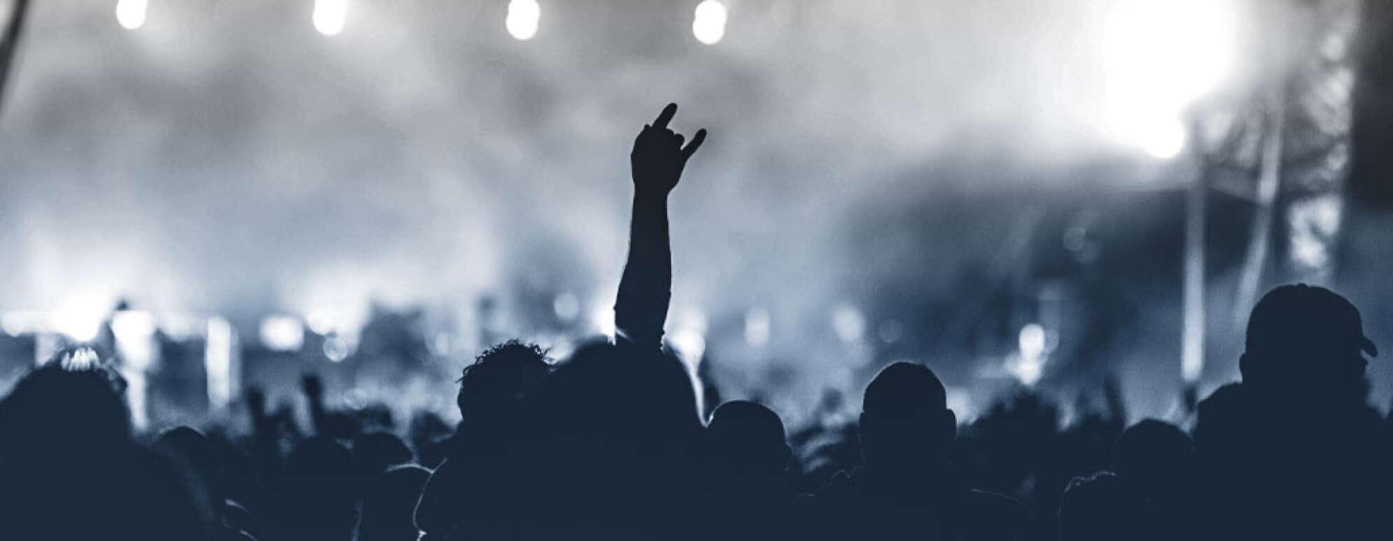 Menschenmenge auf einem Konzert
