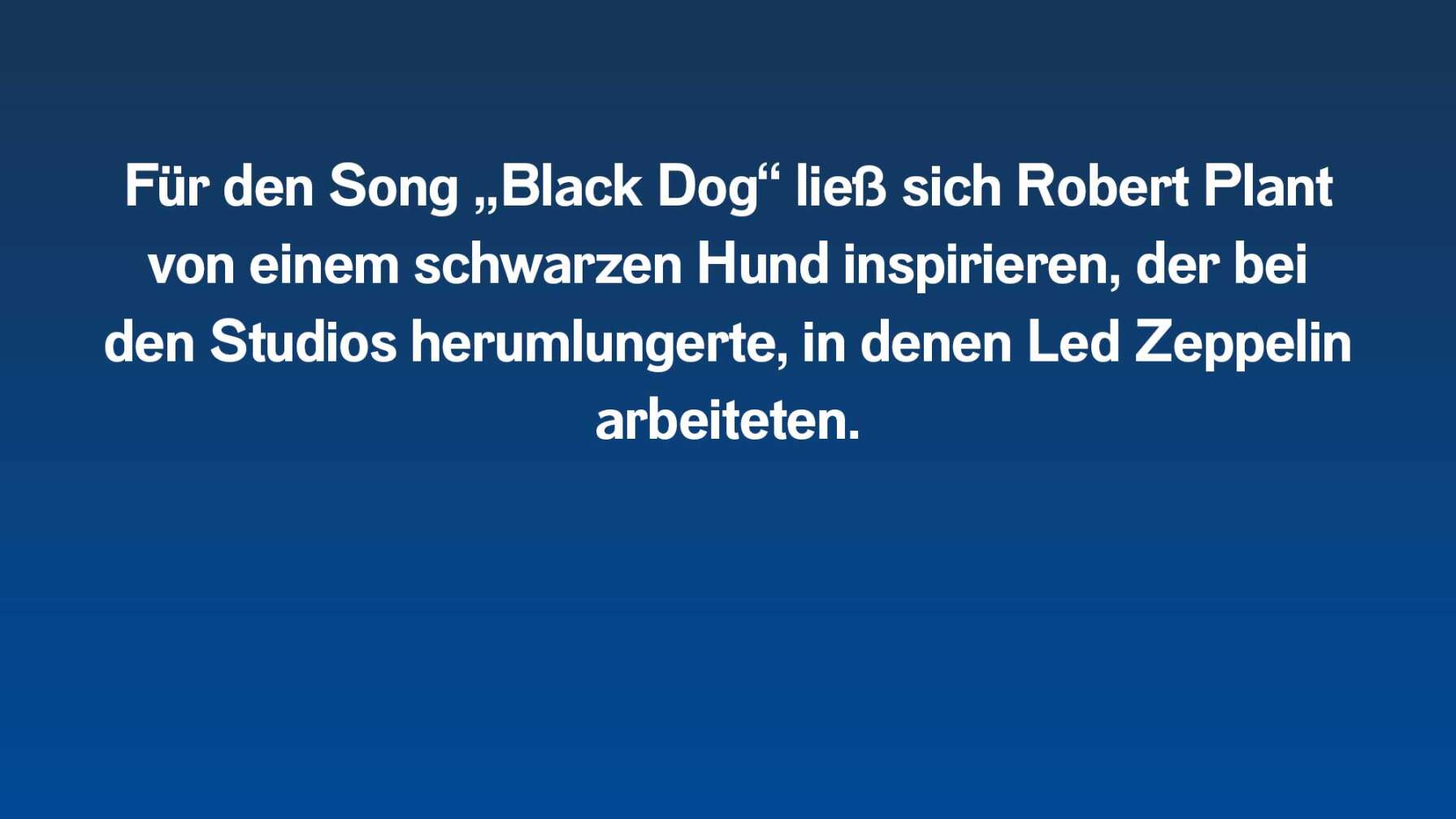 Für den Song „Black Dog“ ließ sich Robert Plant von einem schwarzen Hund inspirieren, der bei den Studios herumlungerte, in denen Led Zeppelin arbeiteten.