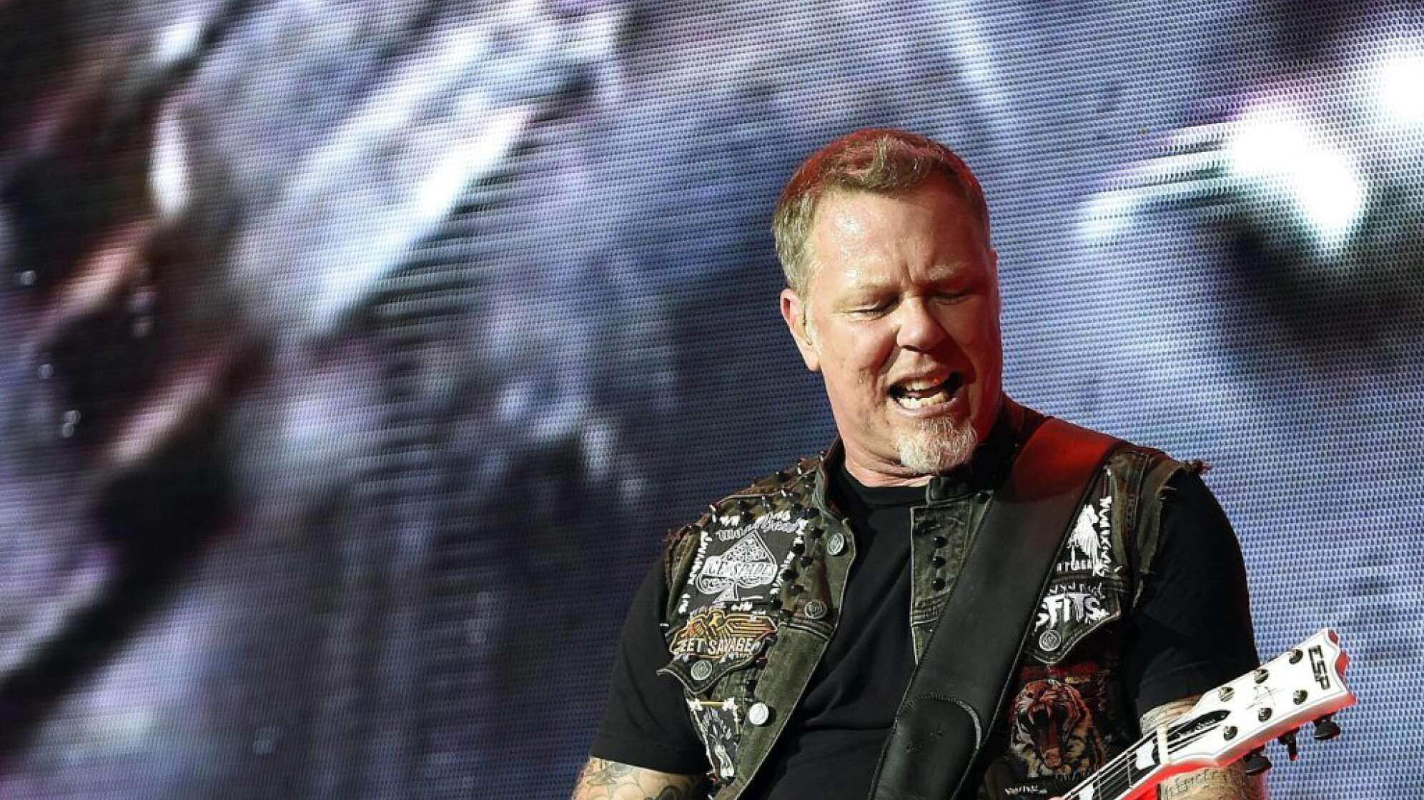 James Hetfield Rock in Vienna