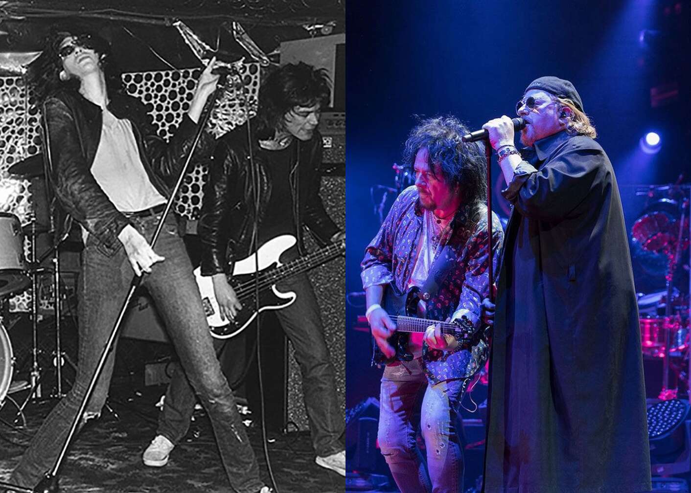 Toto und Ramones
