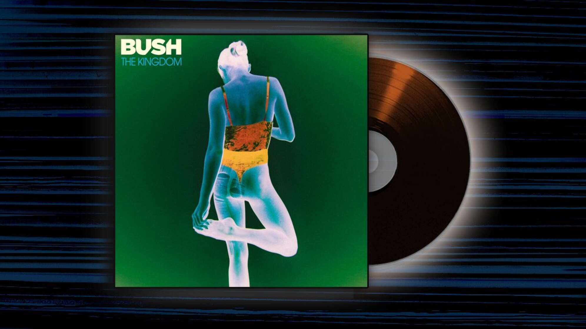Album-Cover: Bush - The Kingdom