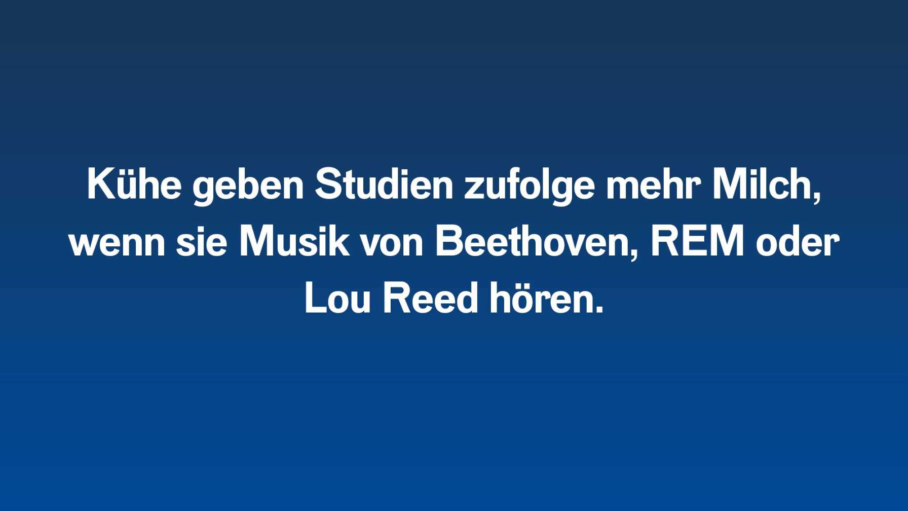 Kühe geben Studien zufolge mehr Milch, wenn sie Musik von Beethoven, REM oder Lou Reed hören.