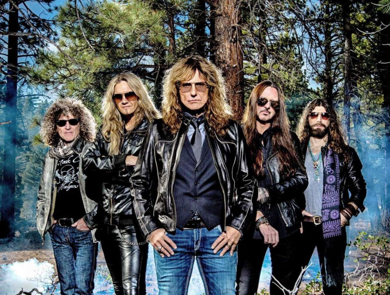 Whitesnake in einem Wald