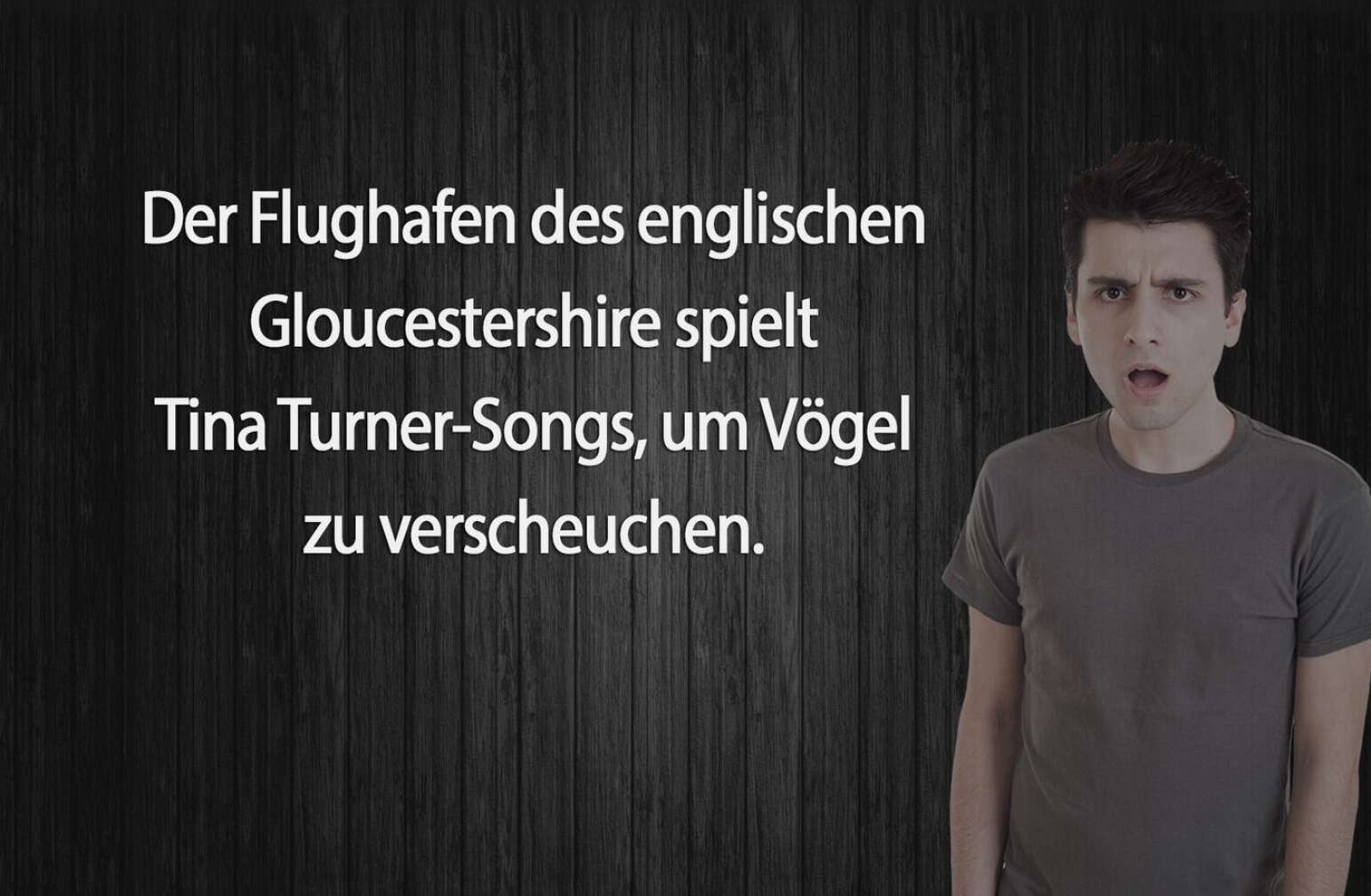 10+3 unnütze Rock-Fakten