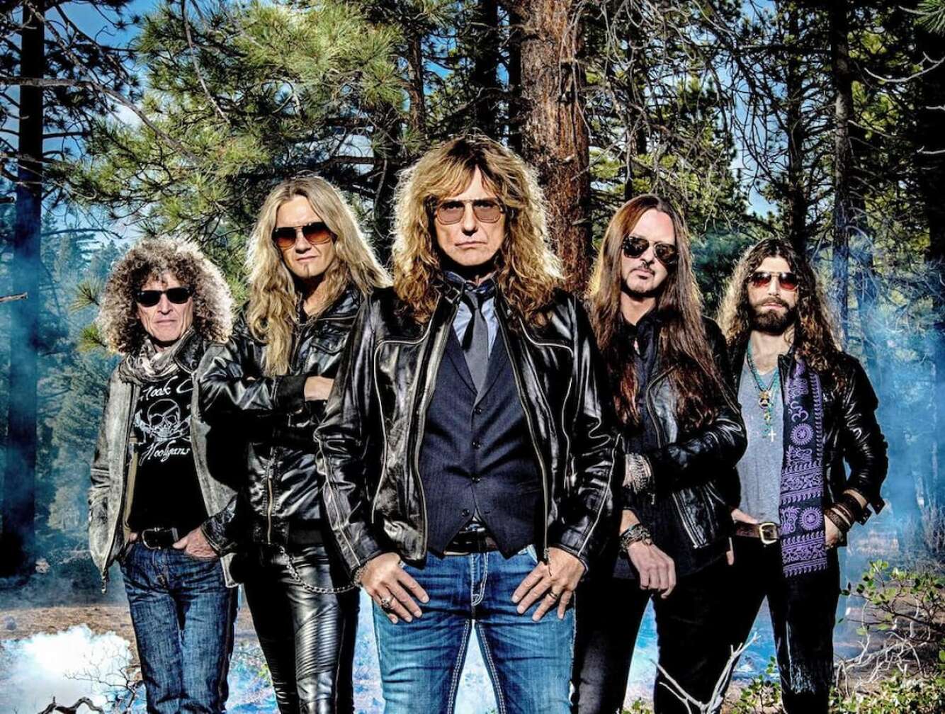 Whitesnake im Wald