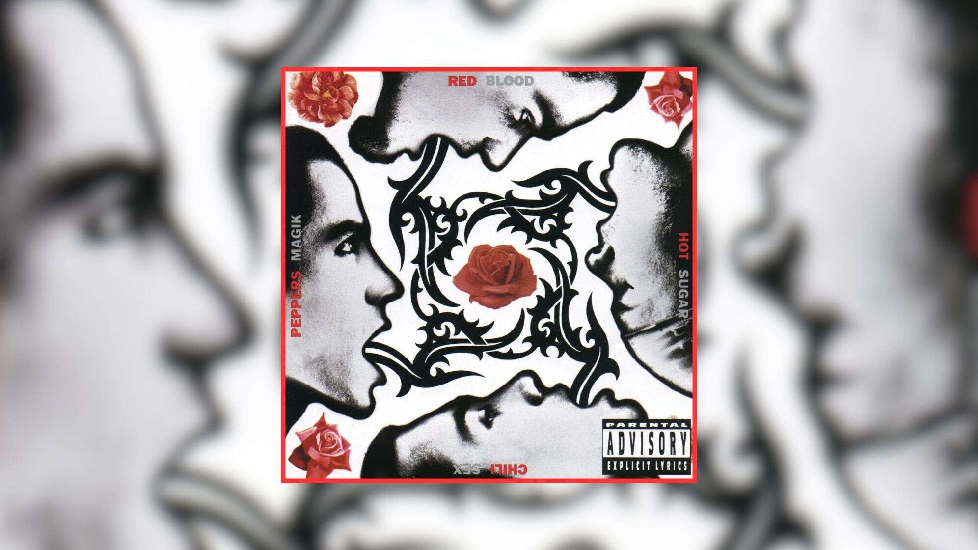 Albumcover von Blood, Sugar, Sex and Magik von den Red Hot Chili Peppers