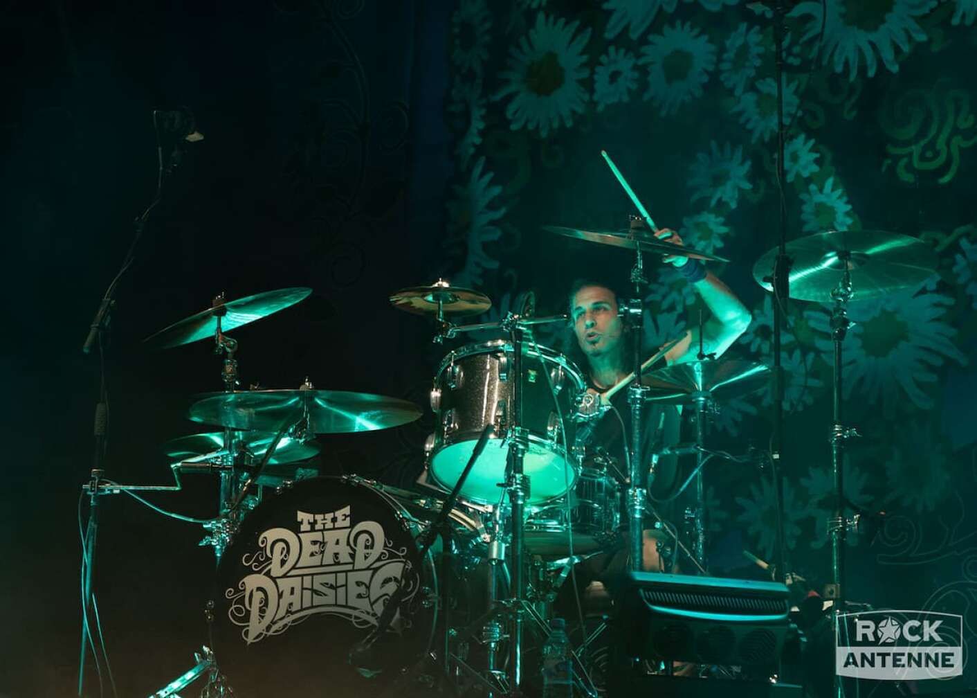 Foto vom Auftritt von The Dead Daisies