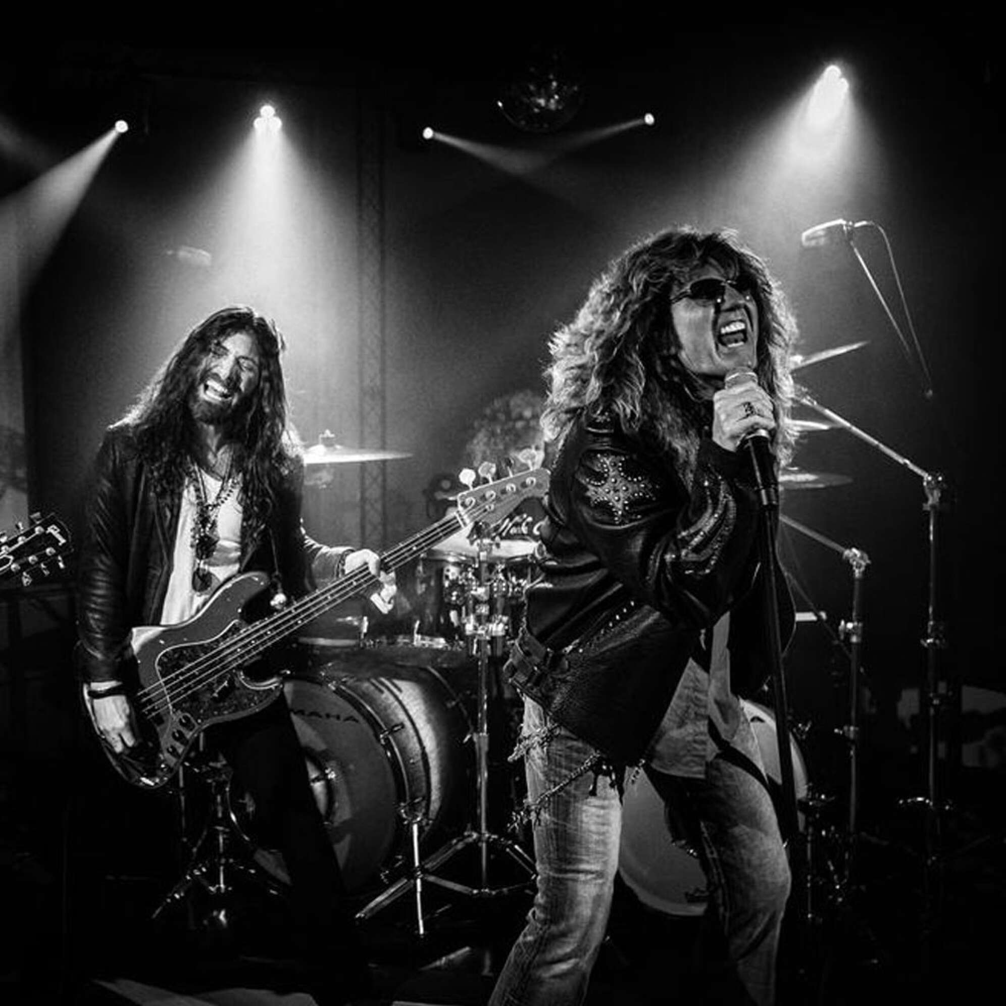 Whitesnake